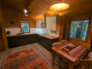Pineshadow Lodge-Dog Friendly Kenwick Park Louth - Louth - 2
