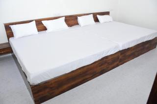 Hotel Shree Narayan Palace - 2