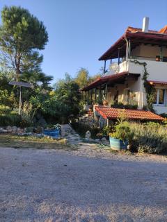 Villa Dorothy360 - Polydrossos - 9