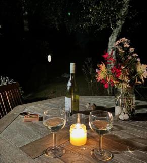 Natuurhuisje OosterEese - 9