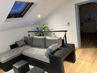 BX - Maison 10 rooms - 12 beds - metro PARIS EXPO - Montrouge - 9