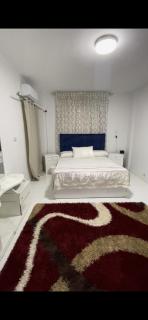 شقق فندقيه المهندسين والزمالك - Cairo - 6