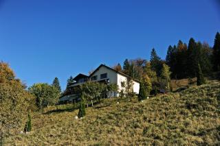 Pensiunea Magura - Măgura - 4