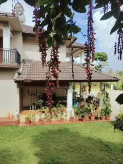 Coffeeshire farm - Mudigere - 6