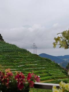 Kensington Sunrise sg, Palas Horizon,kea farm - Brinchang - 8