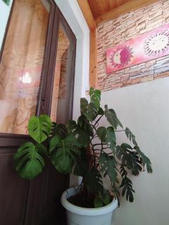 Appartamento Aci Sant'Antonio - 1