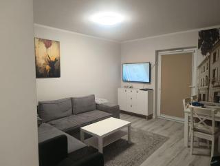 Apartament pod Złotym Bocianem - Świdnica - 4