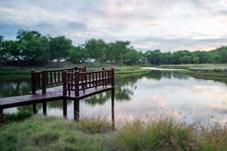 The Alampara Resort - Luxury Boutique Glamping & Water sports - Cheyūr - 6