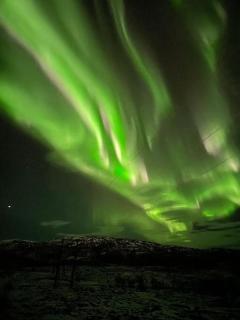 Aurora appartment - 7