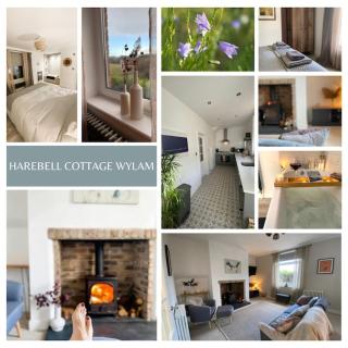 Harebell Cottage in Wylam Village Sleeps 4 - 0