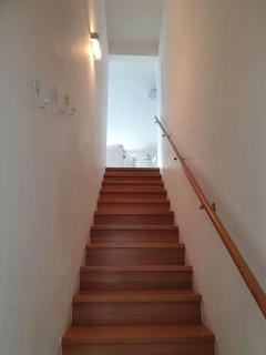 Wohnen am Waldrand - 2