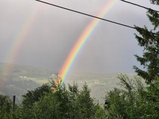 Hytte med fin natur - - 7