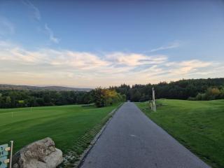 Wohnen am Waldrand - 1