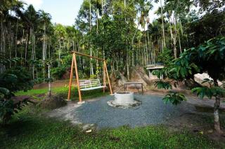Cave Valley Wayanad - Ambalavayal - 9
