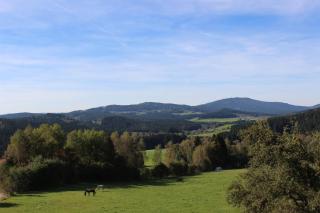 Familienferienhof Kroner - 4