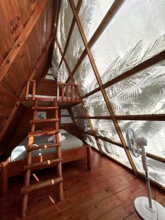 Ekhotel & Glamping en Punta Cana - - 5