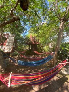 Ekhotel & Glamping en Punta Cana - - 4