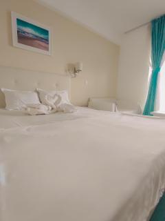 Blooming by the Sea - camere cu vedere frontală spre mare - Olimp - 9