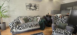 Apartmani Djuric Grey - Subotica - 0