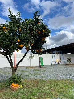 Cantinho do Alemao - Seda - 8