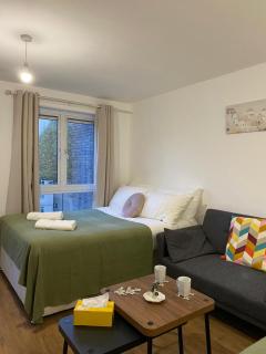 Modern Entire Apartment in Kings Cross St Pancras - Londra - 4