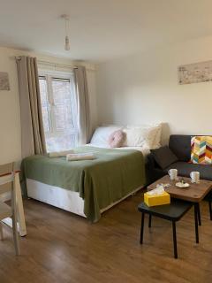 Modern Entire Apartment in Kings Cross St Pancras - Londra - 9