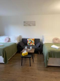 Modern Entire Apartment in Kings Cross St Pancras - Londra - 0