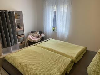 Bee Home - Schuttertal - 4