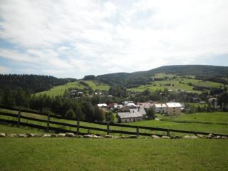Domki pod Lasem - Rymanów-Zdrój - 7