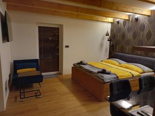 Zahradní studio Vila Věkoše - Hradec Králové - 4
