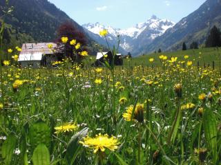 Haus Stein - Oberstdorf - 5