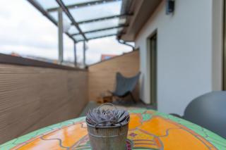 Laura‘s Heimat - 1