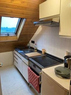 42 qm großes Wohlfühl-Apartment im ruhigen Messel - Messel - 4