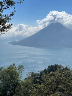 Altos Del Carmen cafe cristal - 5