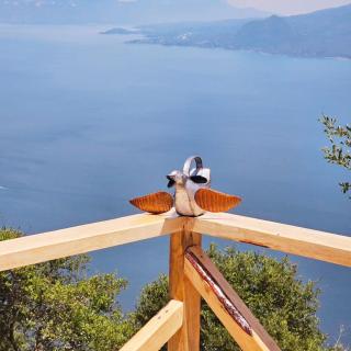 Altos Del Carmen cafe cristal - 2