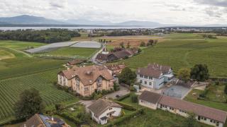 Amanthos Living Nyon - Duillier - 9