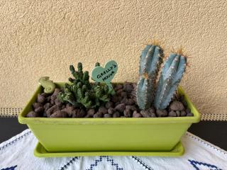 Grelly's House - Holiday in Rome - 50 meters from the Metro - 7