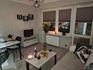 66 Mrówka Apartament - Częstochowa - 7