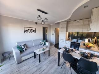 66 Mrówka Apartament - Częstochowa - 0