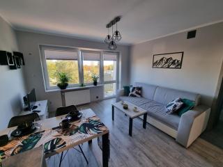 66 Mrówka Apartament - Częstochowa - 4