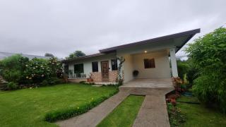 Vistaverdeboquete - 4