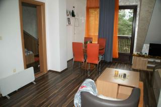 JANA APARTMAN b - Divčibare - 4