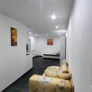 Modernes einzimmer Apartment - Hügelsheim - 0