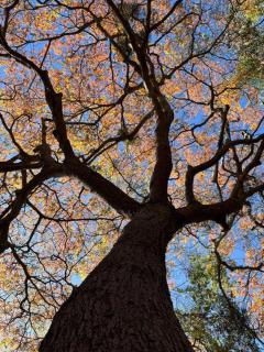 Vila do Salitre - Casa a 5 min de lagos e cachoeiras - 1