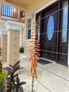 Belle Breeze Haven - Gros Islet - 4