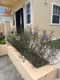 Belle Breeze Haven - Gros Islet - 7