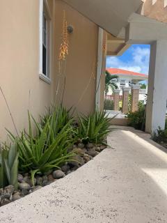 Belle Breeze Haven - Gros Islet - 9