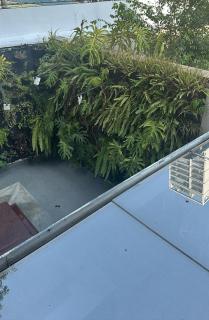 Allianz Parque IV - São Paulo - 8