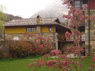 Casas rurales Valle de Bueida, jacuzzi solo en las casas el El Palacio y Viscárcel - Bárzana - 9