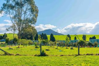 Lush Escape - Lake Taupo Holiday Home - Turangi - 0